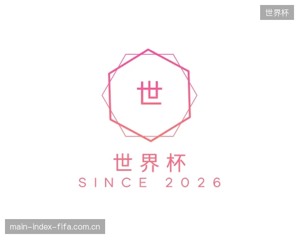 解读世界杯平台